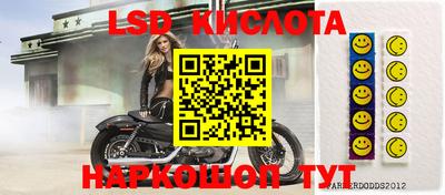 молекула духа Донецк