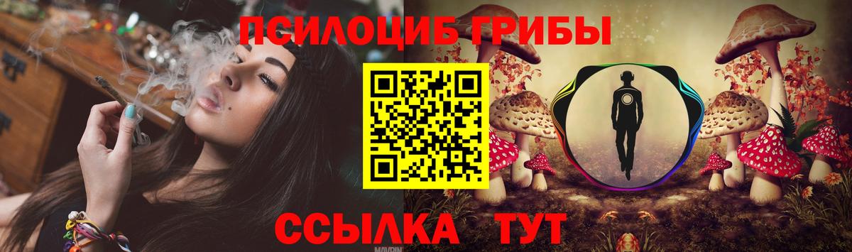 Галлюциногенные грибы Cubensis Михайловск